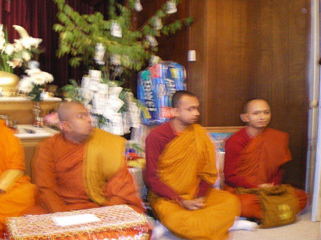 IMGP0800